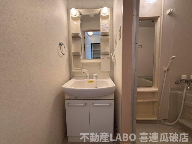 サンエスパシオ美園の洗面所