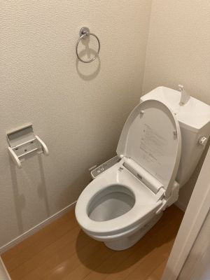 バレーヌ川越のトイレ