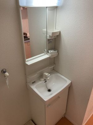 バレーヌ川越の独立洗面台