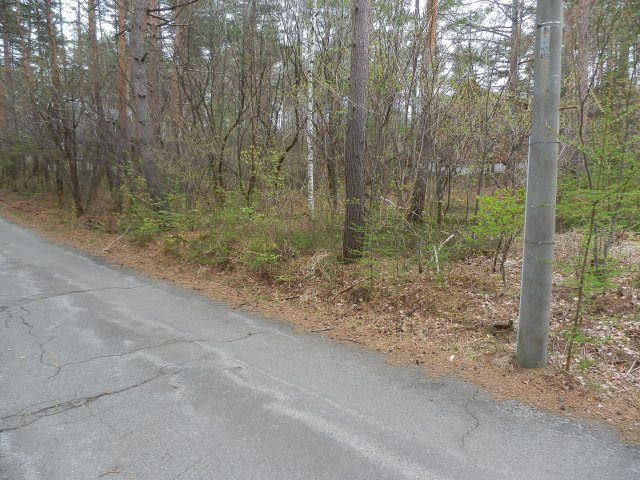 吾妻郡嬬恋村,北佐久郡軽井沢町,北佐久郡御代田町の土地一覧 4