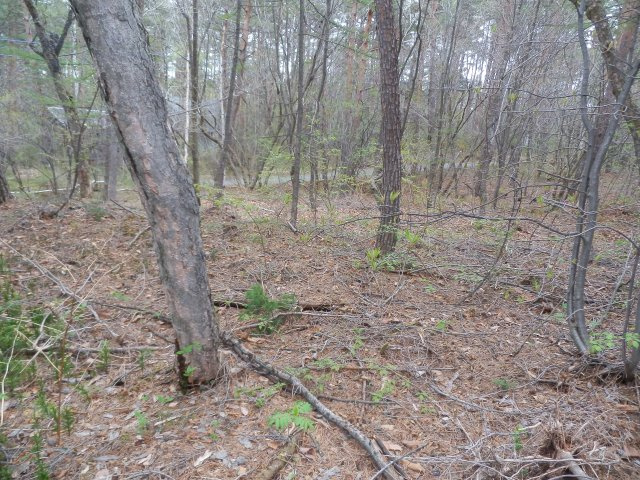 浅間ハイランドパーク 敷地約340坪の売土地の外観