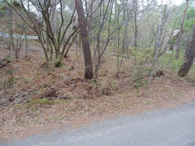 浅間ハイランドパーク 敷地約340坪の売土地の外観