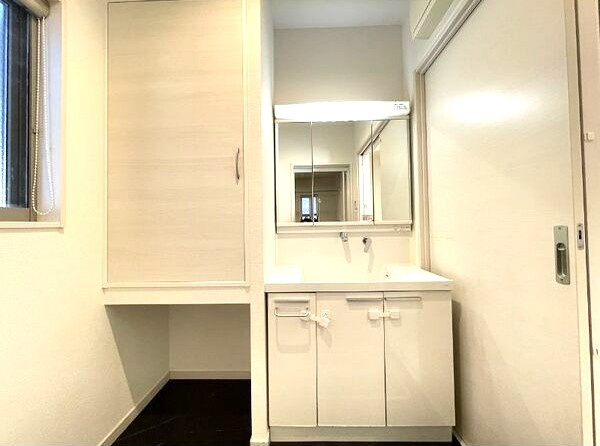 港区知多二丁目戸建の洗面所