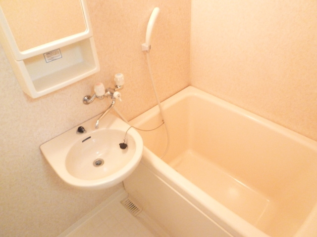 エクセレントの洗面所