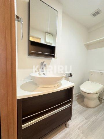 ドゥーエ玉造 の洗面所