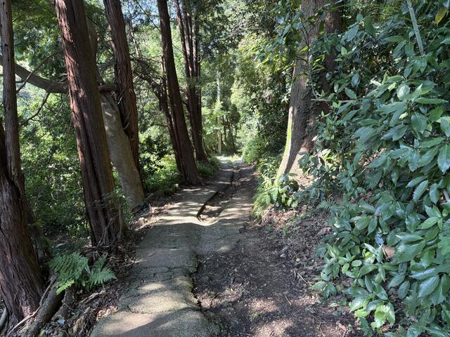 真鶴町　岩の周辺|物件までの道路