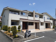 プリムラⅡの画像