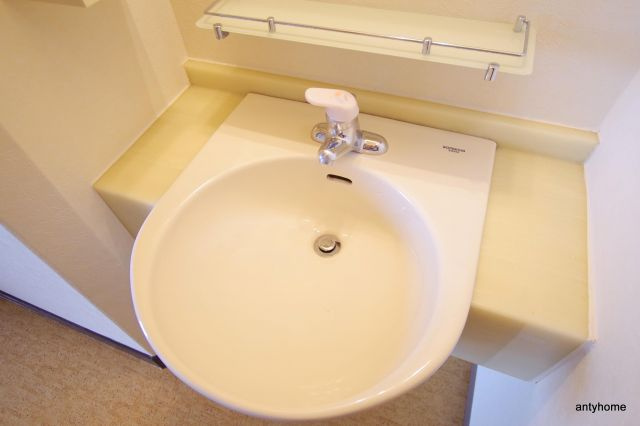 メゾン阪下　仲介手数料無料の洗面所