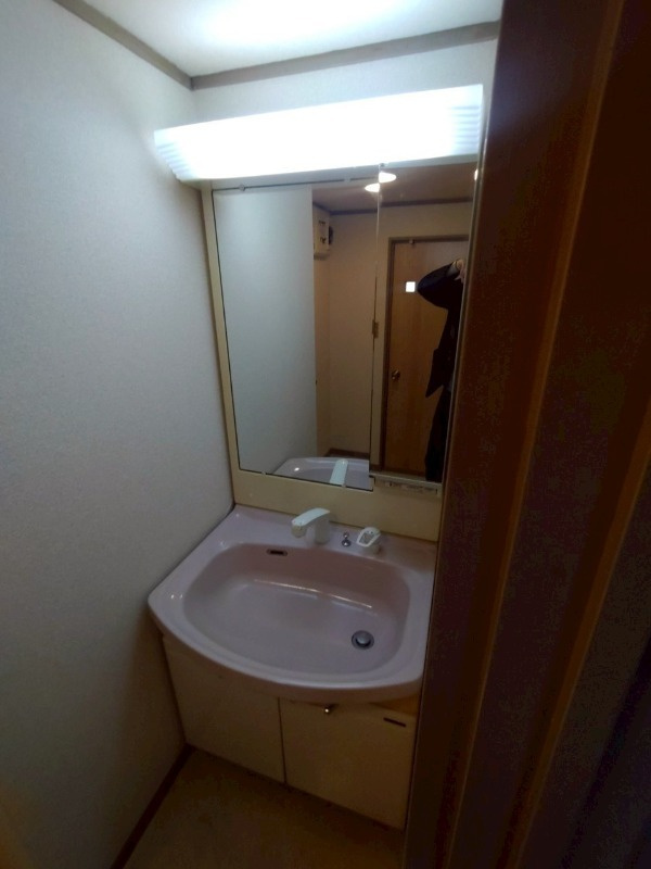 メゾンドールの洗面所