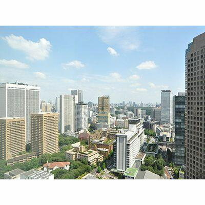 港区六本木１丁目の賃貸マンションの展望|眺望 