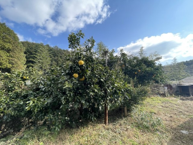  | 後野倉庫付事務所