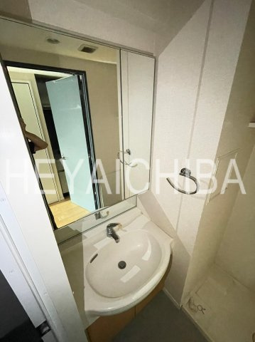 ラグジュアリーアパートメント三ノ輪の洗面所