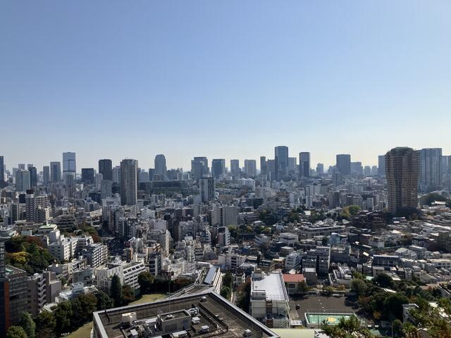 港区六本木６丁目の賃貸マンションの展望| 