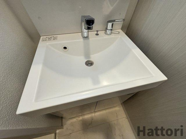 S-RESIDENCE三国WESTの洗面所