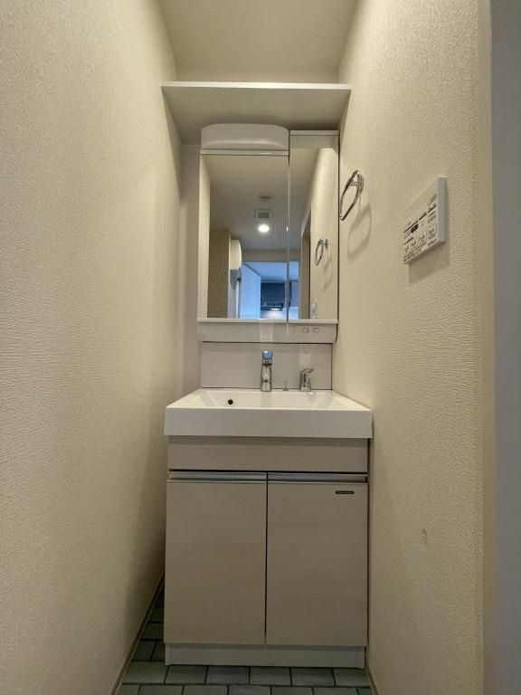 セイワパレス大今里の洗面所