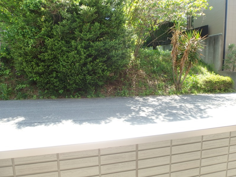 ビューテラス竜美の展望