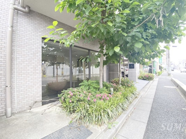 LaSante浦和常盤公園のその他|エントランス前の植栽です☆