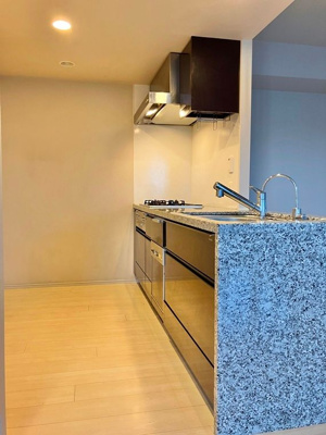 【キッチン】 | ジオ・イニシア武蔵小杉