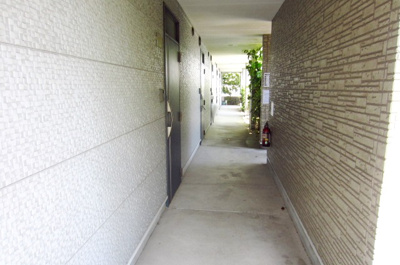 【その他】 | ノォア フロッド