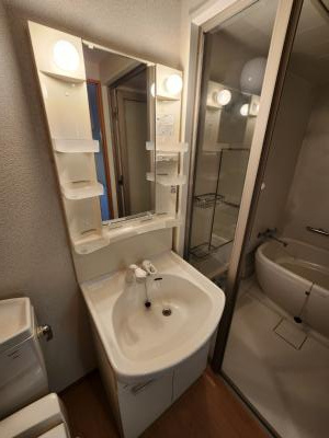 グランドパレス西院東館の洗面所|シャンプードレッサー