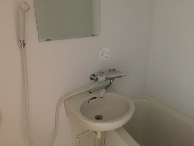 ドルチェ東京深川壱番館の洗面所