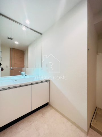 ラ・ヴィータ日本橋の洗面所