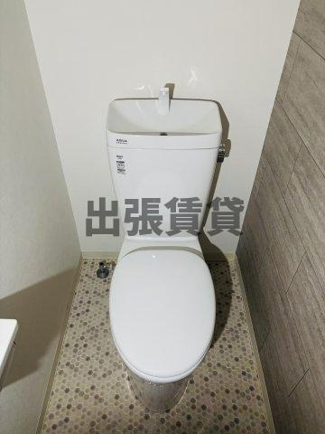 仲介手数料！メゾンアイレスのトイレ