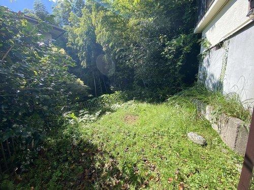 函南町　パサディナタウンの庭