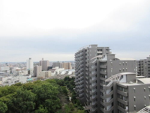 アイムふじみ野タワー東館のその他|眺望