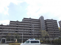 パインフィールド緑地公園の画像