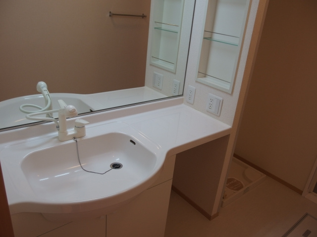 パークサイド洲山の洗面所