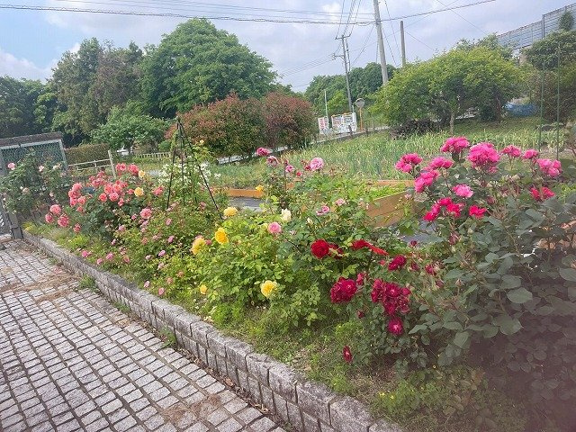 【庭】 | 古賀市筵内戸建