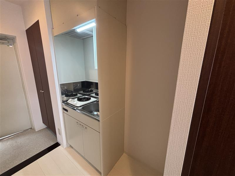 コート石津川の洗面所