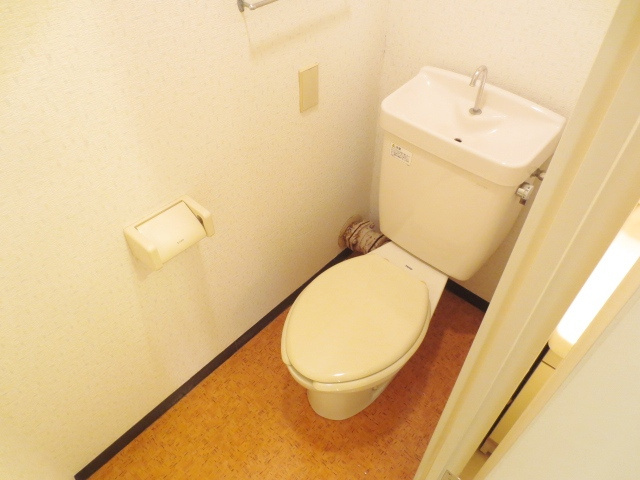 メナーフジのトイレ