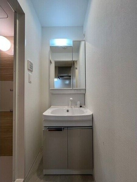 ウインズコート城北パークの洗面所