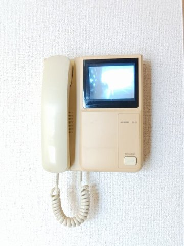 セントポーリアのセキュリティ