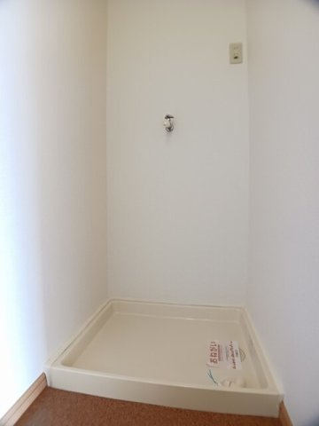 セントポーリアのその他