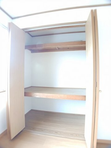 セントポーリアの収納