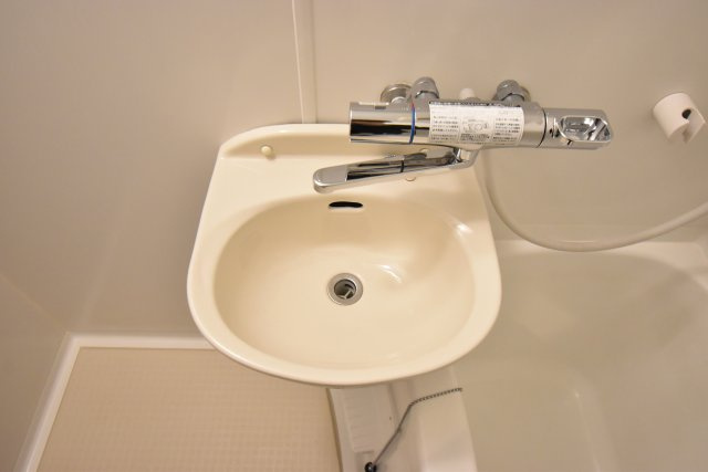 フレンドシップ1の洗面所