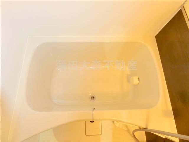 ヴァンテジオ蒲田の浴室