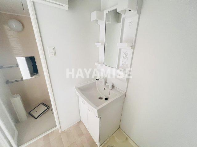  MODERN PALAZZO 戸石BRILLER の洗面所|※別部屋の写真