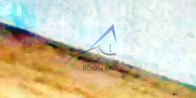 プラットハセガワの内装