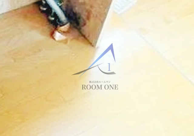 プラットハセガワ