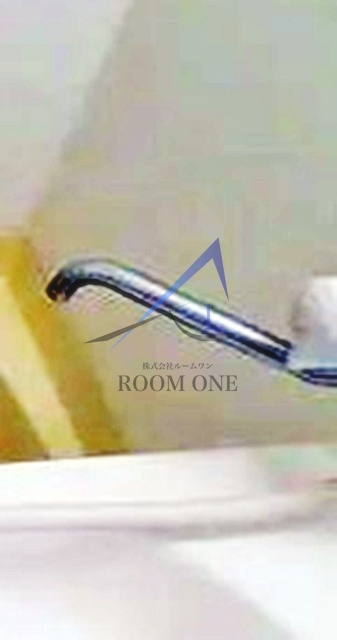 プラットハセガワ