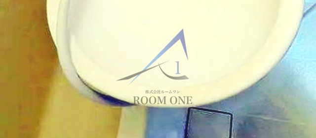 プラットハセガワ