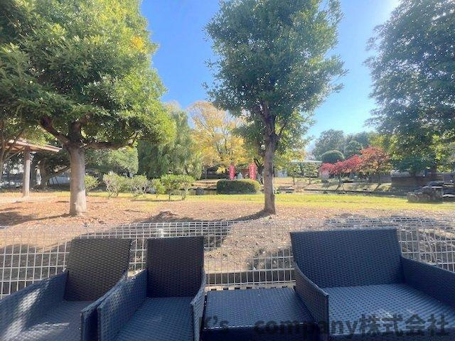 ■高座郡寒川町宮山　中古戸建③の展望|お庭からの眺望です☆正面には宮山緑地が広がっています♪
