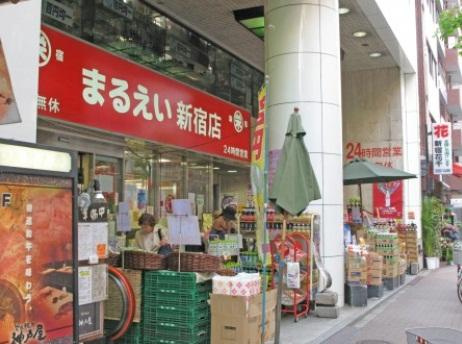 カスタリア新宿御苑の周辺|まるえい