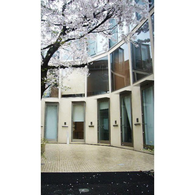 サクラノキテラス中目黒