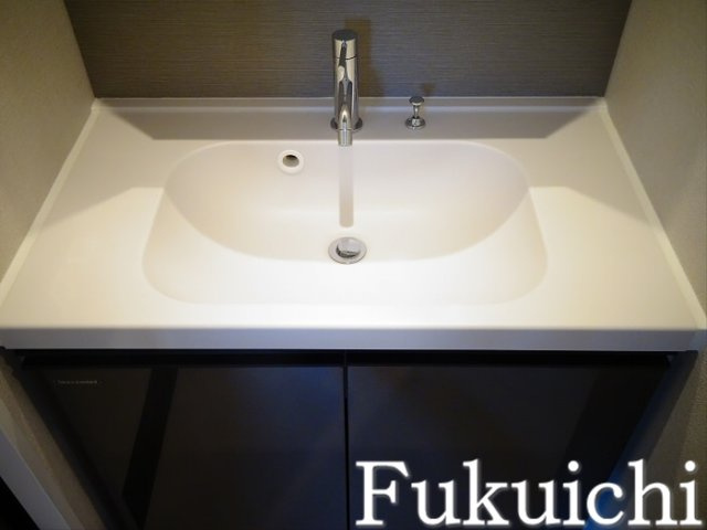 レジディア都立大の独立洗面台