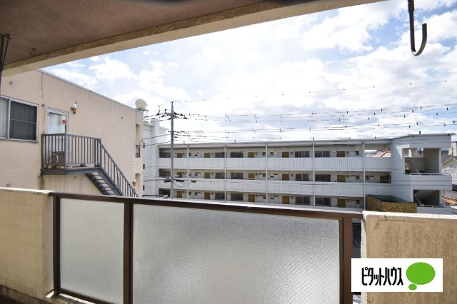 シャンボールとみざわⅡのその他